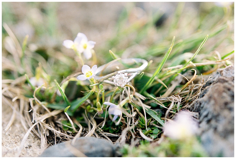 Roan Mountain TN engagement pictures, east tn wedding photographers, mountain engagement session