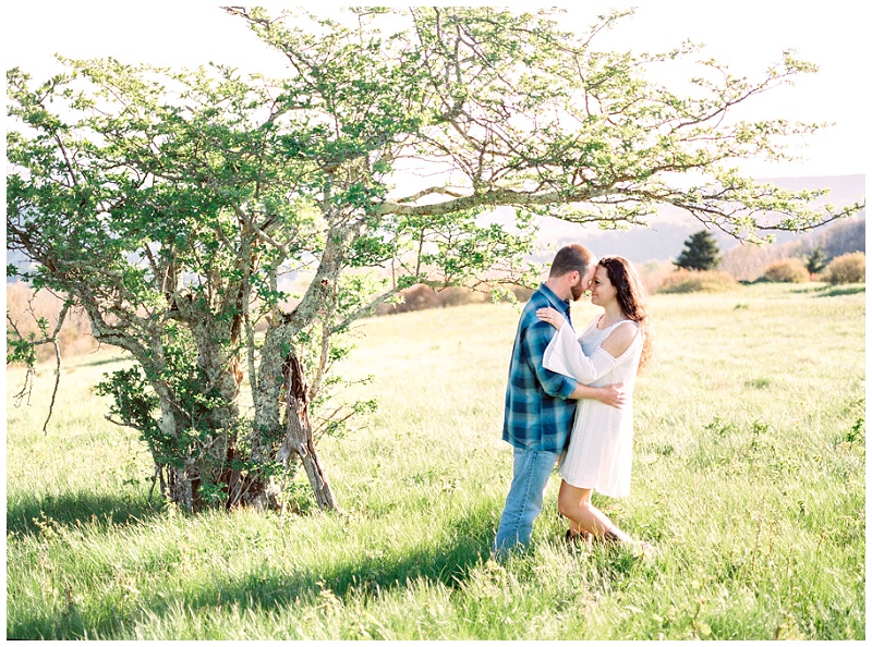 Roan Mountain TN Engagement Photography, roan mountain engagement pictures, johnson city tn engagement photographer