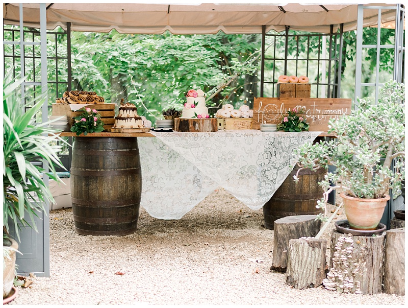 wedding reception cake table, Jonesborough TN Storybrook Farm Wedding, Johnson city wedding photographer