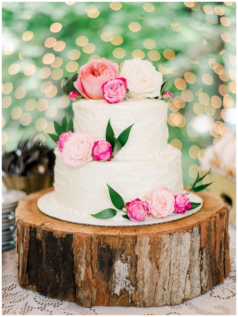 simple wedding cake, Jonesborough TN Storybrook Farm Wedding, Johnson city wedding photographer