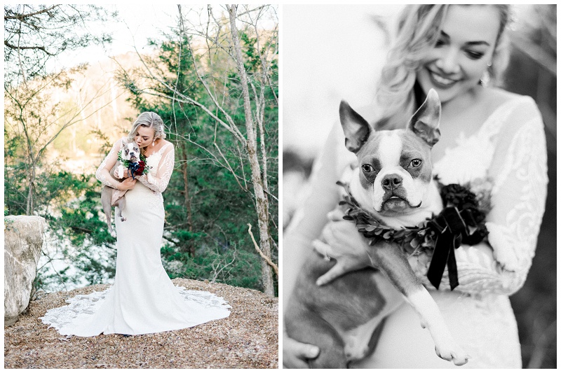 Christmas bridal pictures, bridal pictures with dogs, east tn wedding venues, Waterstone Venue Johnson City TN