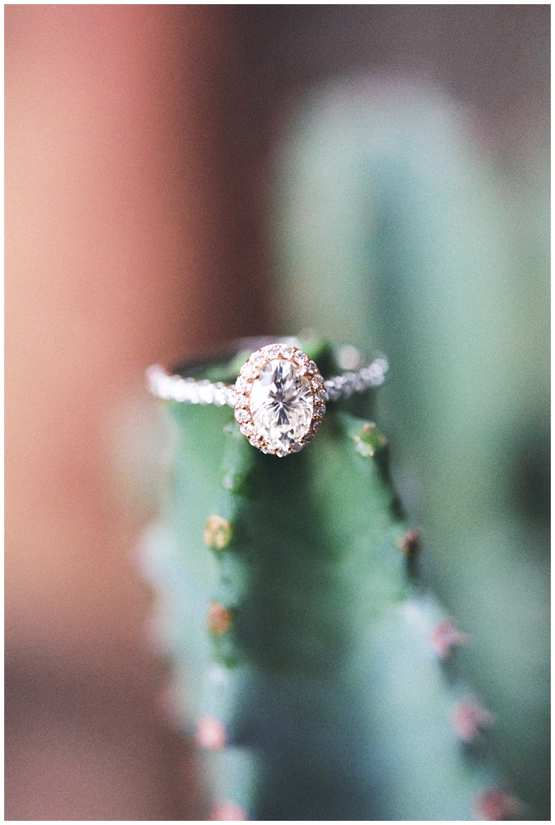 Butcher Jones engagement photos, saguaro lake mesa AZ, two tone metal oval engagement ring
